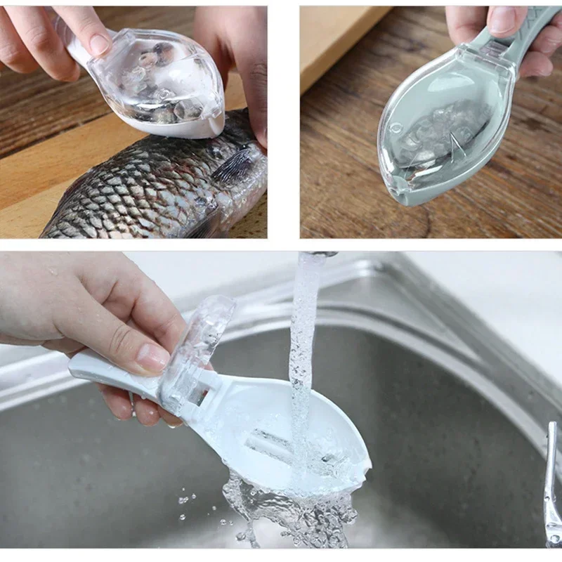 Fishing Equipment Kitchener - موازين السمك، أداة تنظيف الأسماك، جهاز